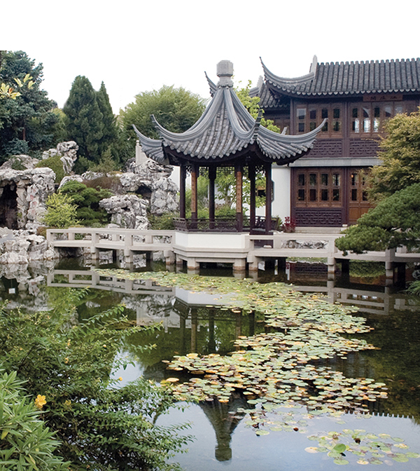 Pond in the Garden